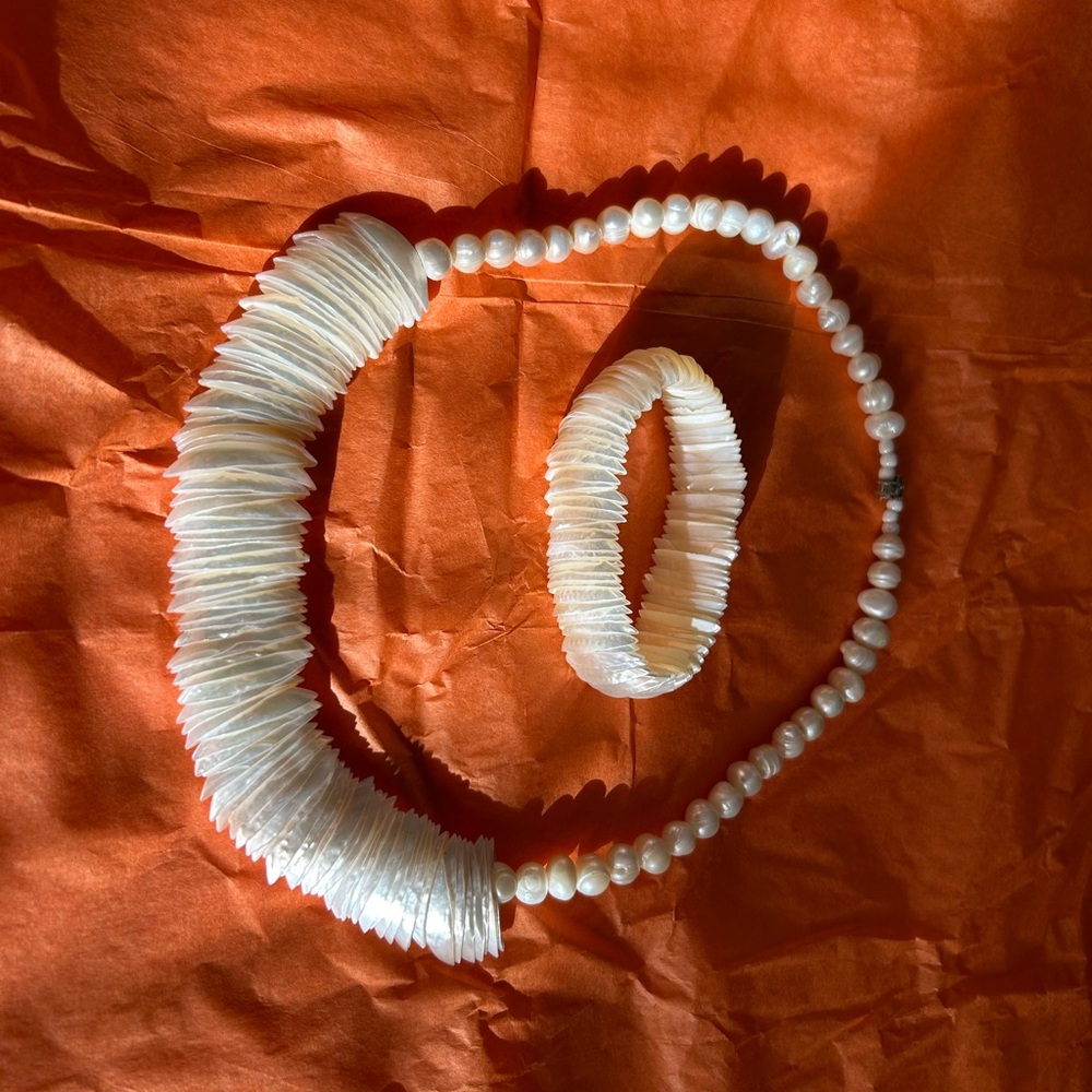 beautiful shells from mexico